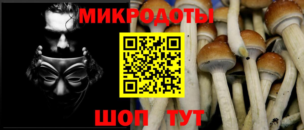 Галлюциногенные грибы Magic Shrooms Каменск-Уральский