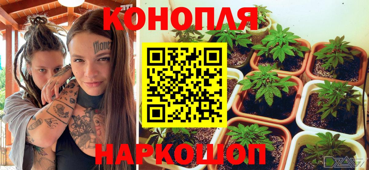 Бошки марихуана тримм  Канабис LSD WEED  МАРИХУАНА Amnesia  Вход с VPN  Каменск-Уральский 